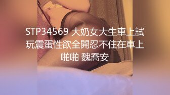 STP34569 大奶女大生車上試玩震蛋性欲全開忍不住在車上啪啪 魏喬安