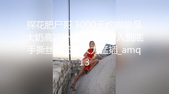 探花肥尸哥 3000元约操极品大奶高端外围，深喉一入到底手撕丝袜无套大力猛插_amq13