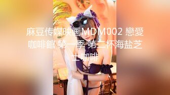 麻豆传媒映画MDM002 戀愛咖啡館 第一季 第二杯海盐芝士咖啡