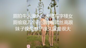 厕拍牛人潜入某大厦写字楼女厕偷窥几个白领嘘嘘黑丝高跟妹子貌似憋了很久尿量很大