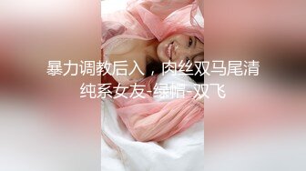 暴力调教后入，肉丝双马尾清纯系女友-绿帽-双飞