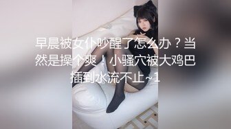 凤吟鸟唱极品女神马灵玉M腿掰B套图视频流出