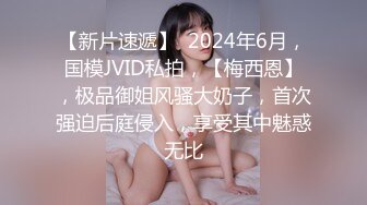 杏吧传媒 《新春团年表姐送给我的新年礼物》