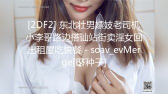 [2DF2] 东北壮男嫖妓老司机小李哥路边搭讪站街卖淫女回出租屋吃快餐 - soav_evMerge[BT种子]