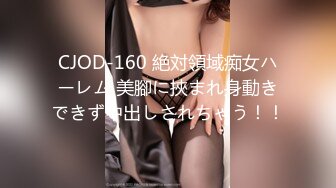 寝取らせ 14 寝取らせ妻、その後…