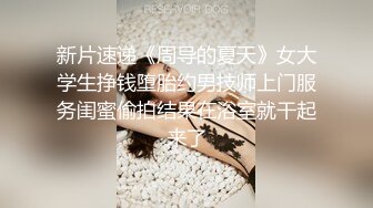 女友打桩机