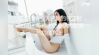 女主K 大胆的秘书