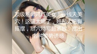 私房售价52元热帖网红大学生极品反差婊母狗陈洁莹也中招怀孕了，但依旧玩的很花 (4)