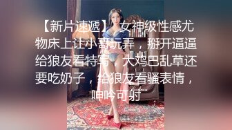 街頭起邱比特 小隻馬美髮師