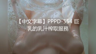 96年极品女仆妹妹穿着丝袜高跟被干(VIP)