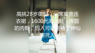 高挑28岁御姐，一席高贵连衣裙，1600元高跟鞋，浑圆的肉臀，后入可谓是磕了神仙水，爽死人啦！