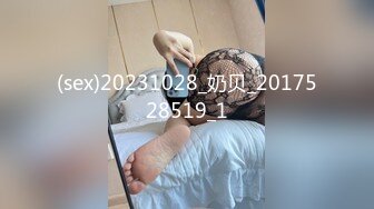 大神潜入商场女厕 偷拍极品少妇的小嫩鲍