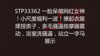 STP33362 一脸呆萌网红女神！小尺度福利一波！撩起衣服揉捏柰子，多毛骚逼按摩器震动，浴室洗骚逼，站立一字马展示