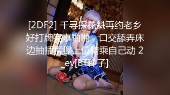 发条少女围裙喵喵