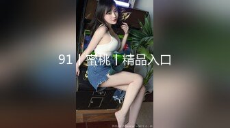 91丨蜜桃丨精品入口