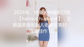 2024年，换妻大神最新订阅，【hamsuphusband】，交换温柔体验别人老婆的美好，淫妻佳作 (1)