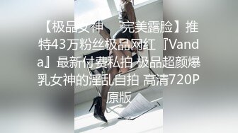 2022-1-3【无情的屌】气质甜美外围女，开档丝袜69舔逼，翘起屁股后入