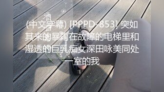 (中文字幕) [PPPD-853] 突如其来的暴雨在故障的电梯里和湿透的巨乳痴女深田咏美同处一室的我