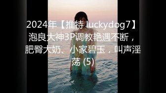 情侣流出❤️洛杉矶华人高颜值情侣性爱流出第三弹 1