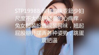 STP19988 很有韵味亚籍少妇尺度不大很妖娆看的心痒痒，兔女郎装扮透视装网袜，翘起屁股掰开摆弄各种姿势，跳蛋震肥逼