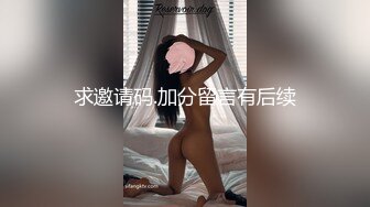 求邀请码.加分留言有后续