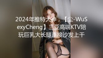 2024年推特大神，【尘-WuSexyCheng】三亚高端KTV陪玩巨乳大长腿直接沙发上干