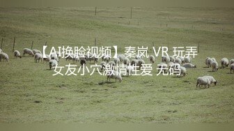 【AI换脸视频】秦岚 VR 玩弄女友小穴激情性爱 无码