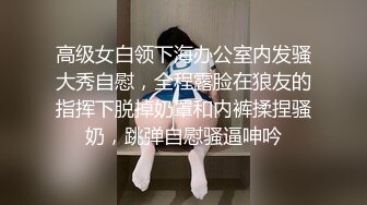 高级女白领下海办公室内发骚大秀自慰，全程露脸在狼友的指挥下脱掉奶罩和内裤揉捏骚奶，跳弹自慰骚逼呻吟