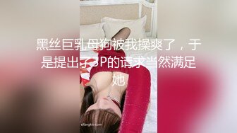 黑丝巨乳母狗被我操爽了，于是提出了3P的请求当然满足她