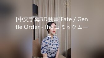 [中文字幕3D動畫]Fate／Gentle Order -The コミックムービー