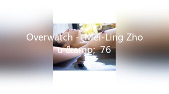 Overwatch -  Mei-Ling Zhou &amp;  76