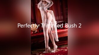 Perfectly Trimmed Bush 2