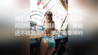 STP25244 【近日下海颜值女神】极度风骚，蓝色假屌卫生间自慰，新买道具试用，体验还不错高潮脸，爽的嘶嘶呻吟娇喘