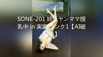 SONE-201 姉はヤンママ授乳中 in 実家 ランク1【AI破解版】